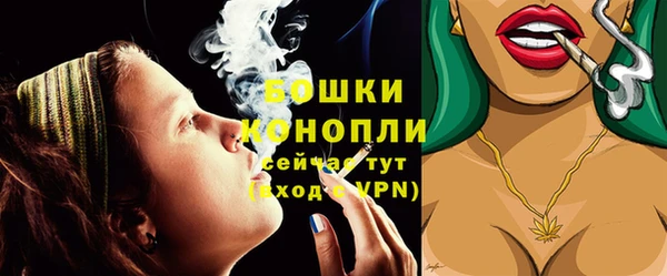 mdpv Белокуриха