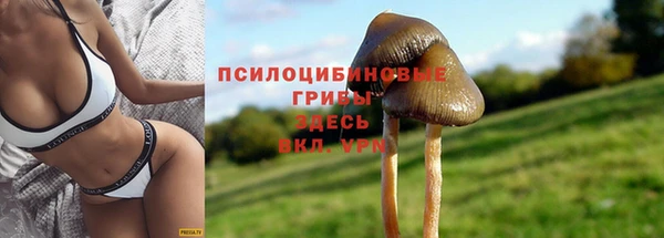 mdma Нязепетровск