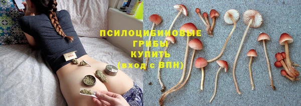 амф Богданович