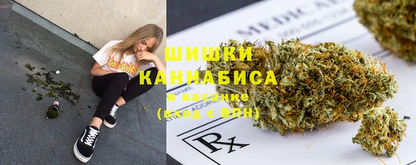 mdpv Белокуриха