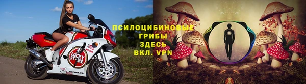 СК Богородицк